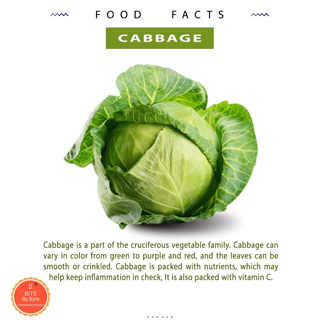 BiteByByte_'s tweet photo. #Cabbage is a part of the cruciferous vegetable family. Cabbage can vary in color from green to purple and red, and the leaves can be smooth or crinkled. Cabbage is packed with nutrients, which may help keep inflammation in check, It is also packed with vitamin C. #BiteByByte https://t.co/4qdjAUWFn6