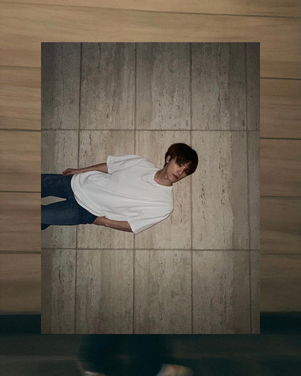 디노 폴더 tweet media