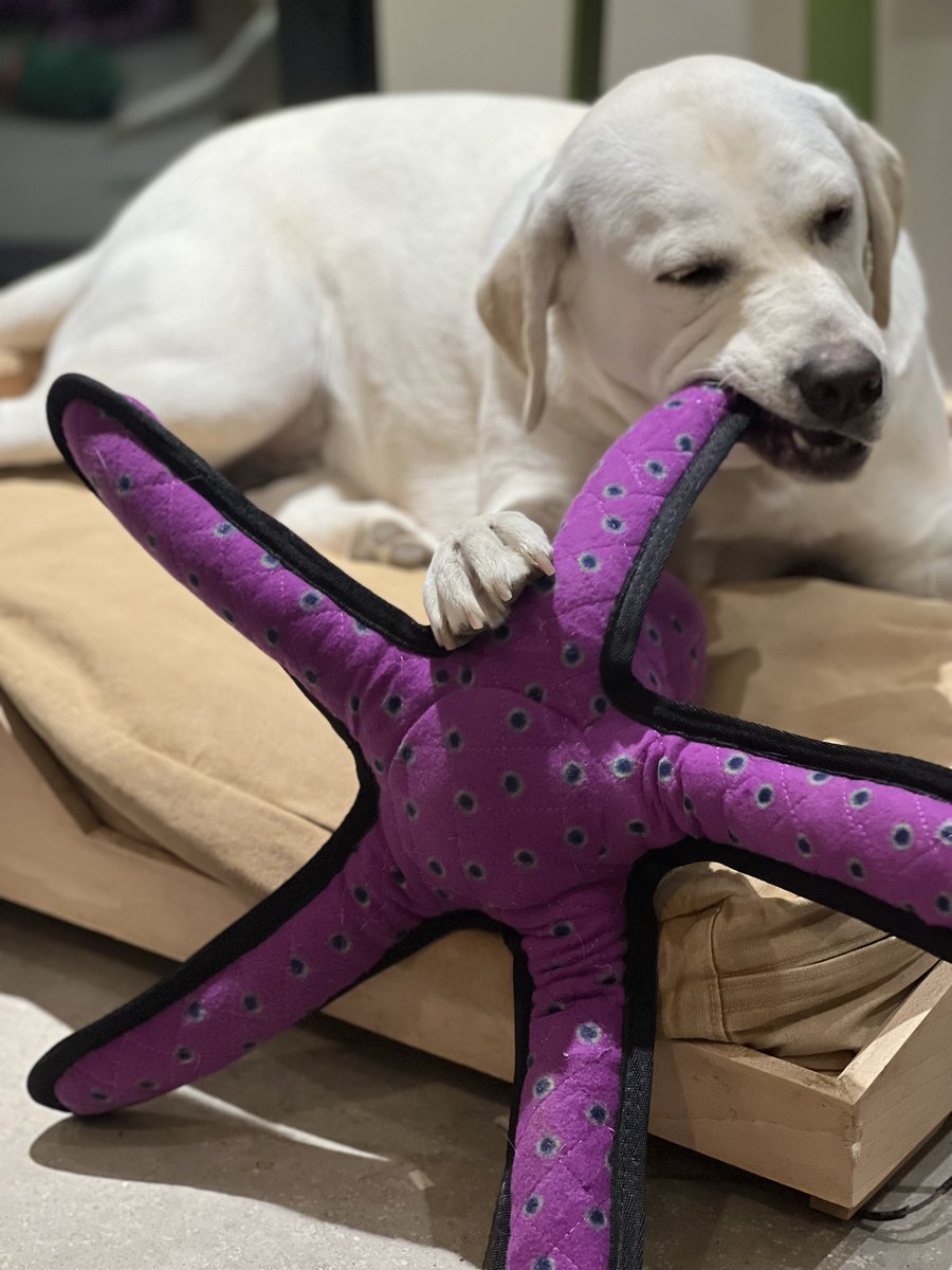 Why does she get Super Blueberry?