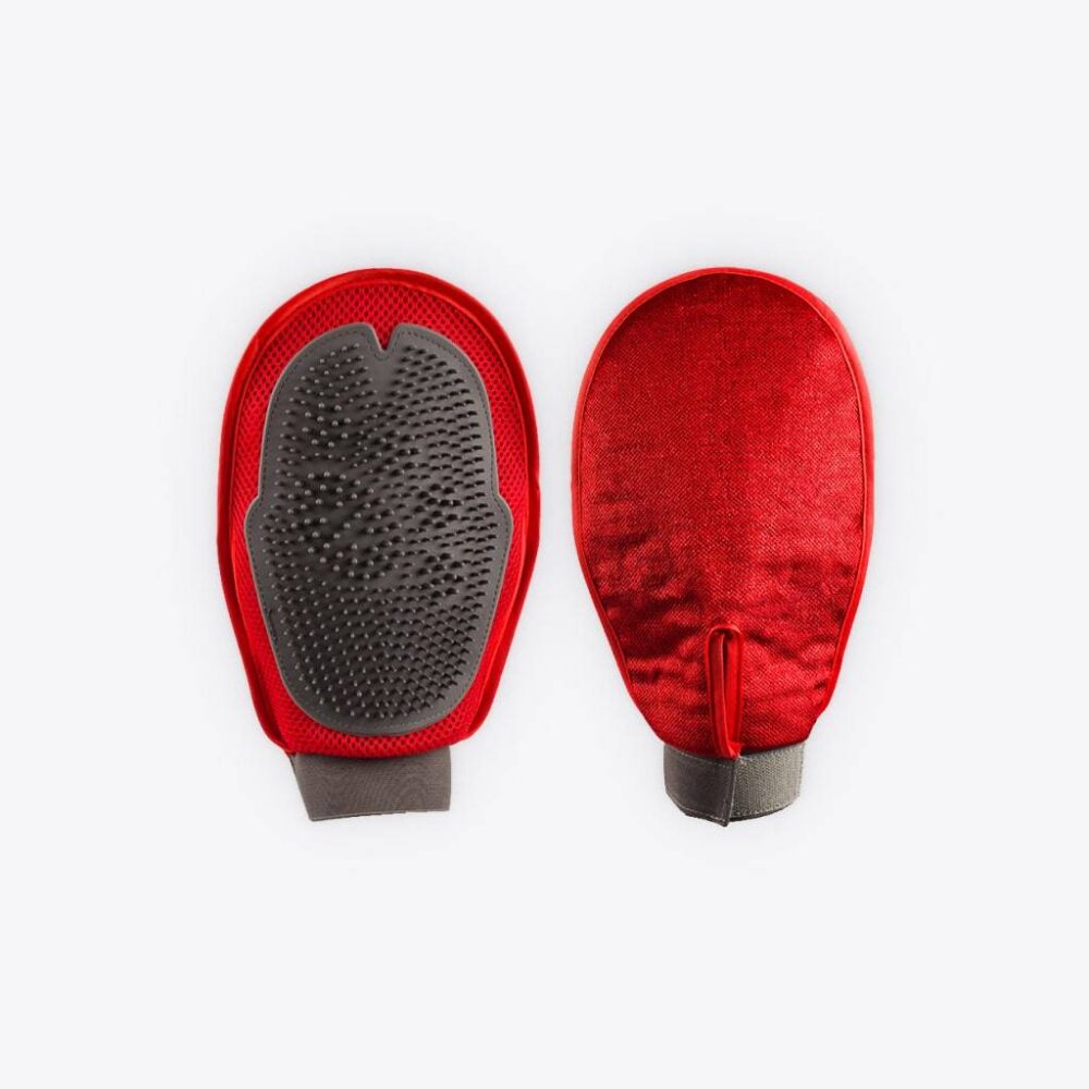 gotraveltails's tweet photo. Red Grooming Glove #photooftheday #kitten https://t.co/jdIbfOP0Mt https://t.co/Kj1A2OhSmB