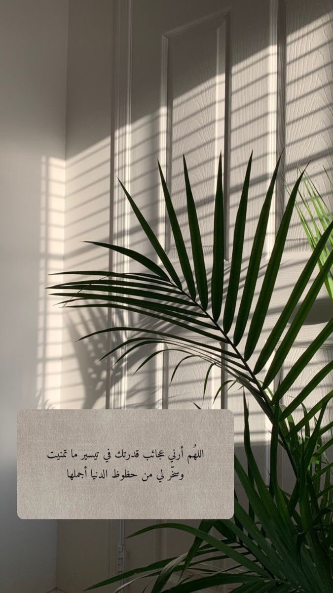 #ليلة_الجمعة #جده_lلان #مكة_المكرمه