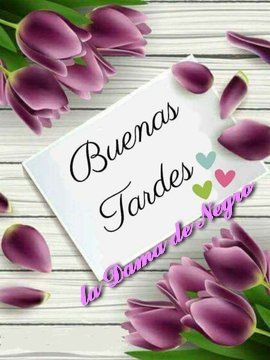 Guadalupe González Reyes (@lupe_gonzalez_r) on Twitter photo 