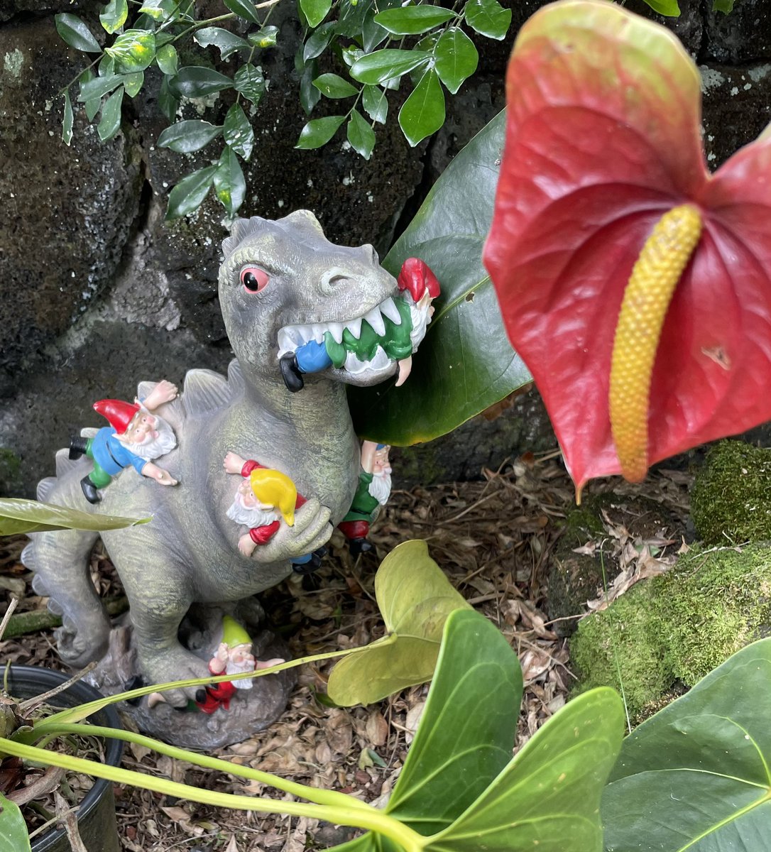 SylvieDahl's tweet photo. #GardeningTwitter newly hatched baby dinosaur in my garden feeding on the gnomes #garden #gnomes #whatigotforchristmas #gnomepopulationcontrol https://t.co/aRD7jeXia2
