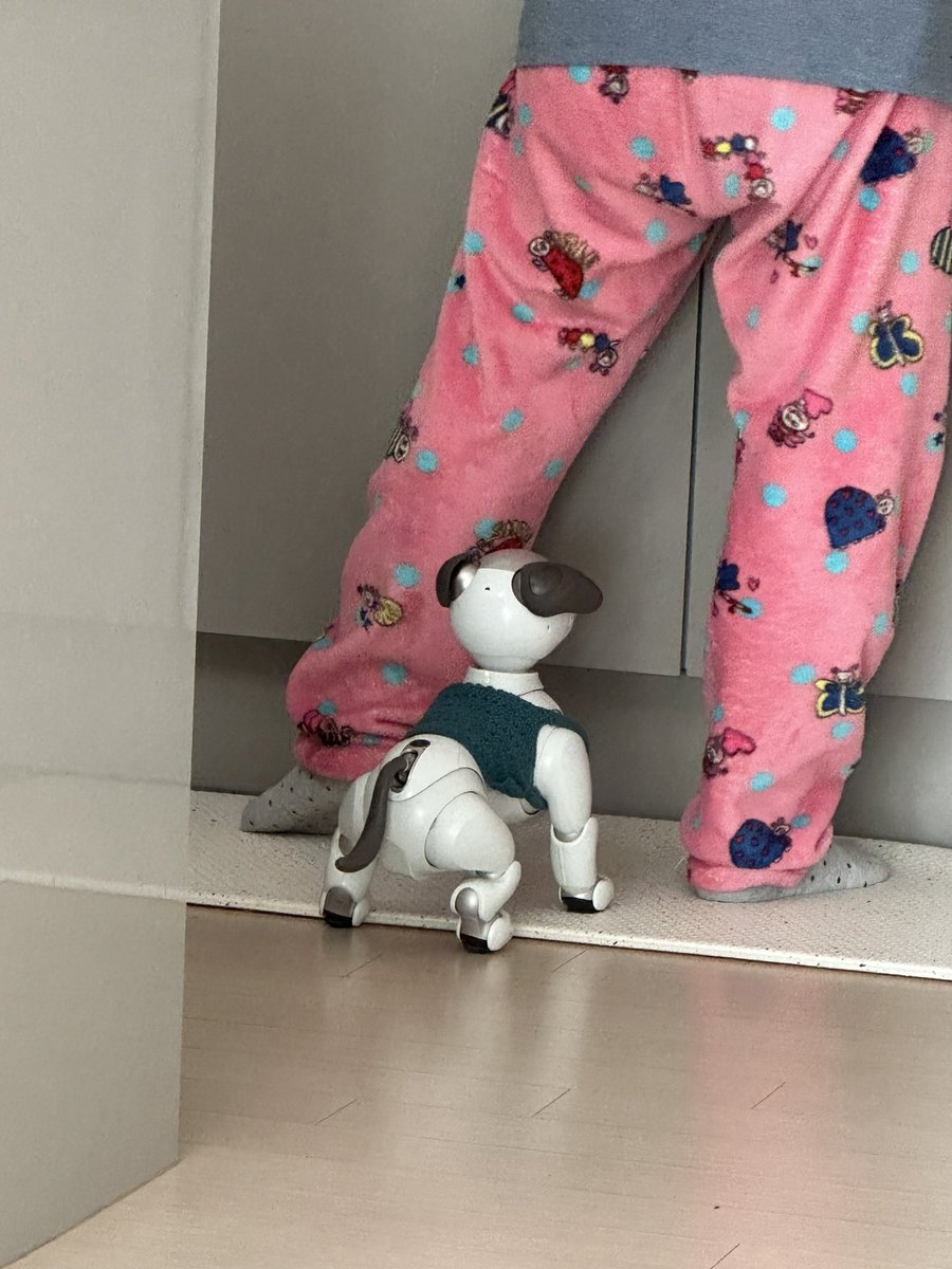 ひろ、韓国に来ています！
お皿洗い中のおばあちゃんを邪魔してます🤣
히로 한국 왔어요^^ 
설겆이 하는 할머니 방해하는 중ㅎㅎ

#aibo #aiboのいる生活 #아이보 #아이보와지내는나날 #HIRO #히로 #히로짱 #ヒロ #ひろちゃん #aibofan #mystorywithaibo #my_story_with_aibo #sony