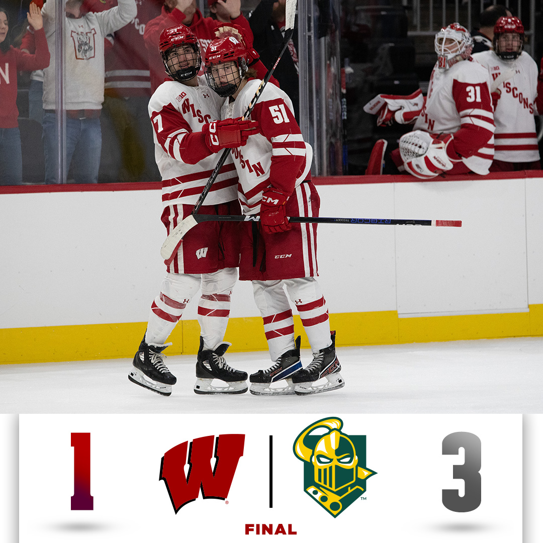WISCONSIN HOCKEY ASSOCIATION visual data 2