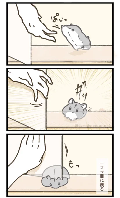 ケージに戻したい飼い主VSケージに戻りたくないハム 