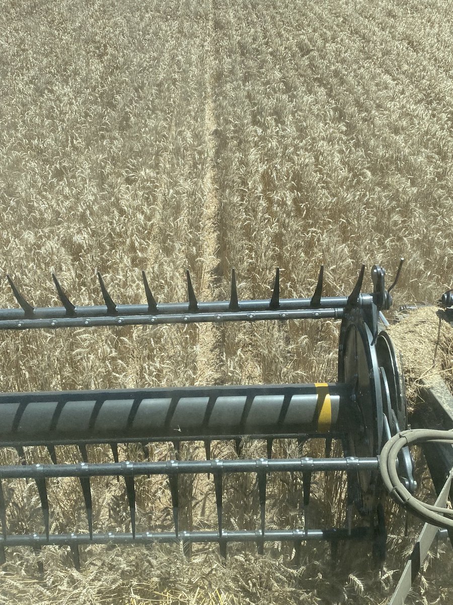 Chris Davey tweet media