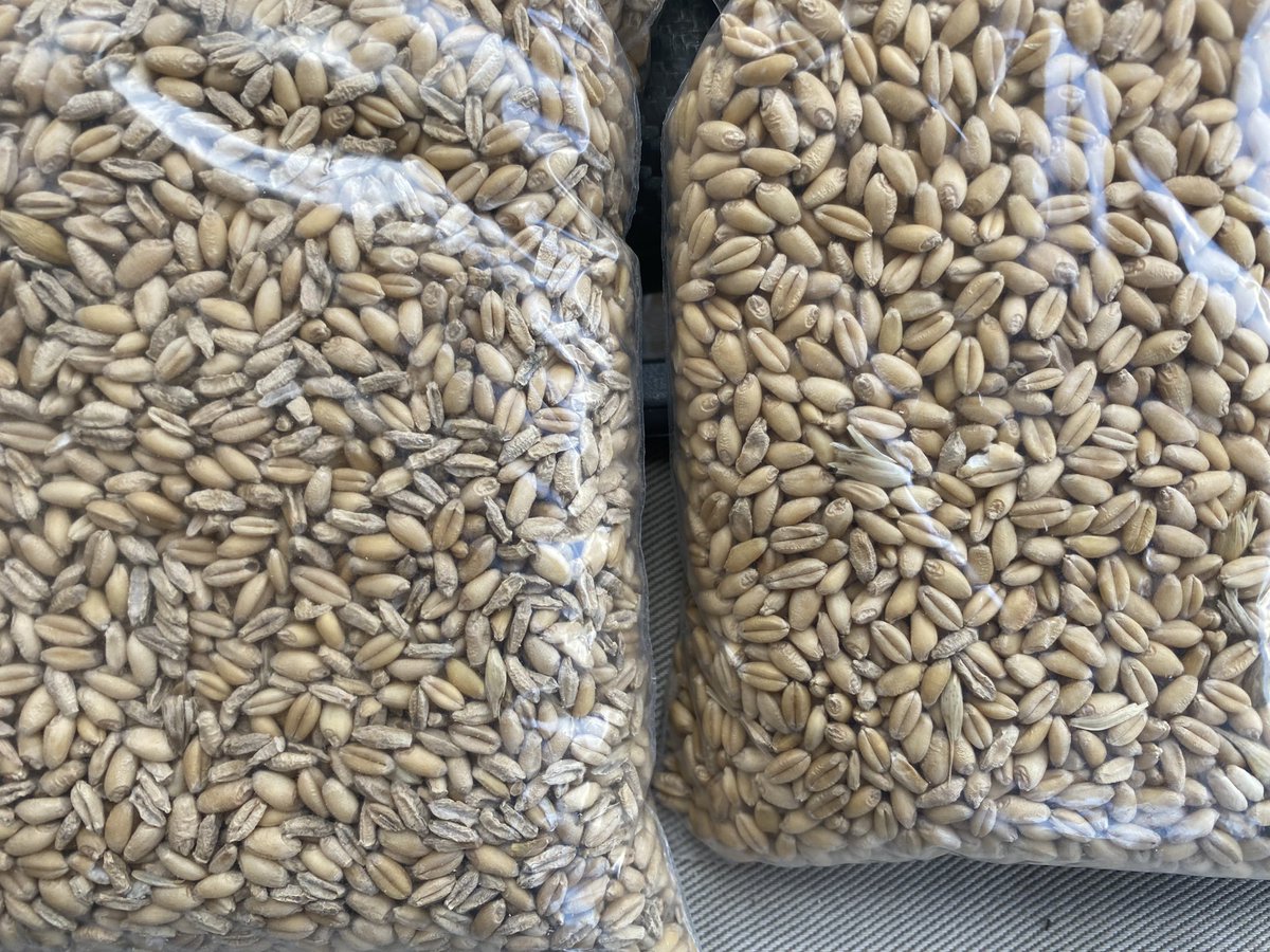 Chris Davey tweet media