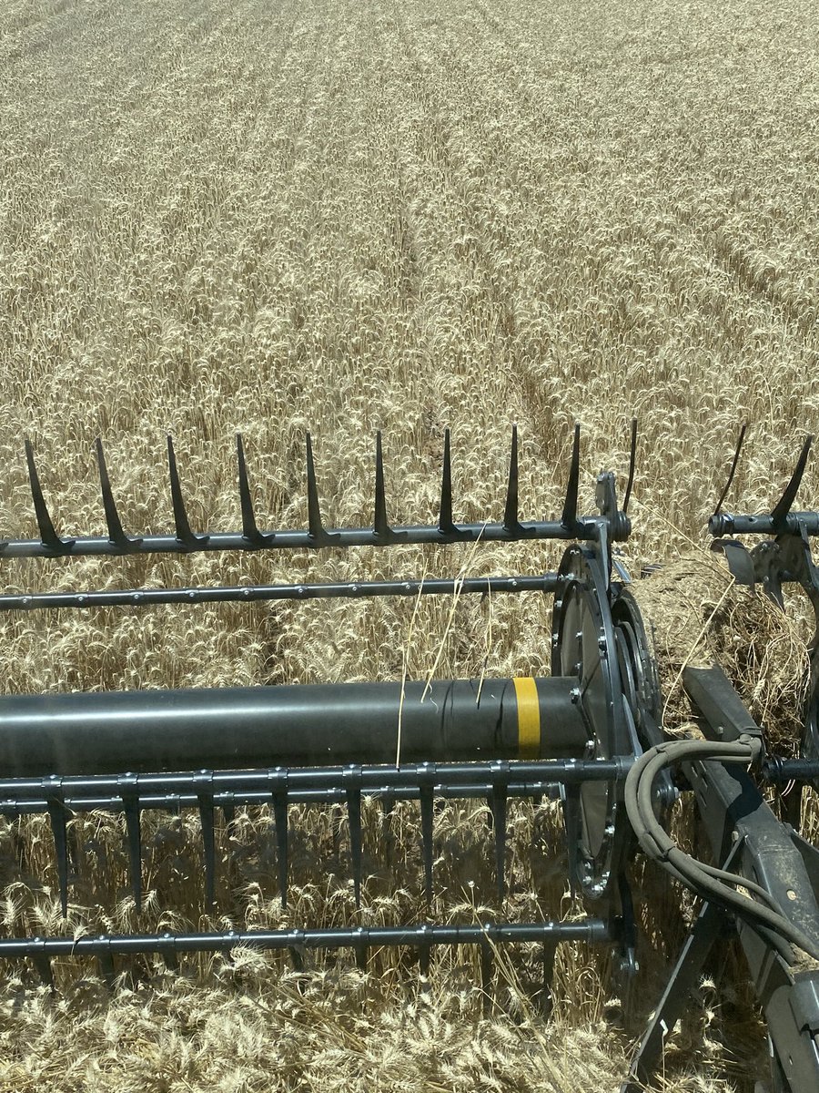 Chris Davey tweet media