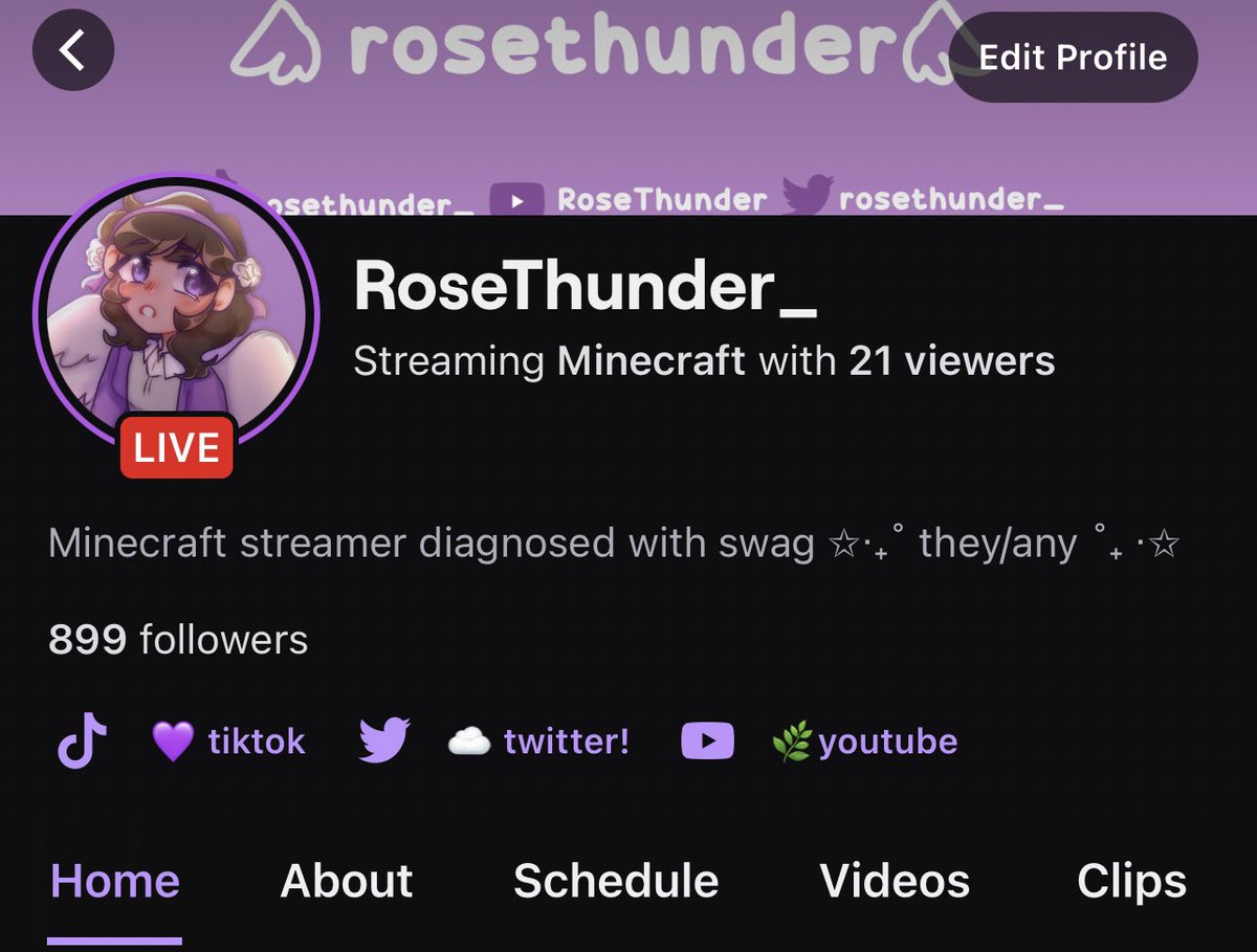 rosethunder_'s tweet photo. Iβm actually so happy right now <33 We hit 900 followers on twitch what the heck ππ
Iβm so grateful for all the support seriously π«Άπ Road to 1k now :)
#RoseThunder https://t.co/fKaftirF56