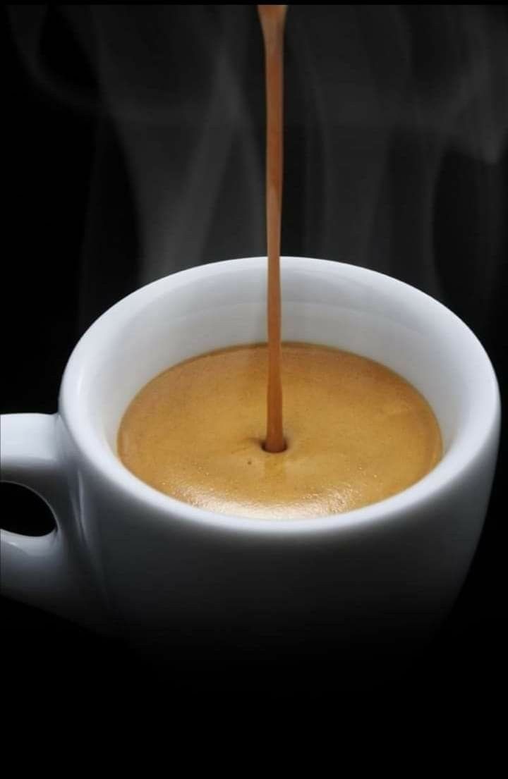 ThisMadisonT's tweet photo. We are quickly reaching the end of the year; yet, it is never too late to take stock and make a fresh start. Please don't give up on your aspirations.
#Coffee #CoffeeTime #FridayFeeling
@HacksCoffee https://t.co/IivuTRyWUk