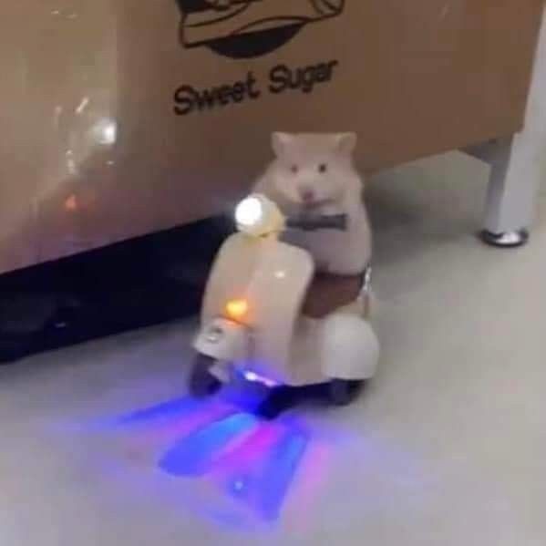 ไปแว๊นกันเตง <a href="/Merryjayyy/">𝐌𝐉</a>