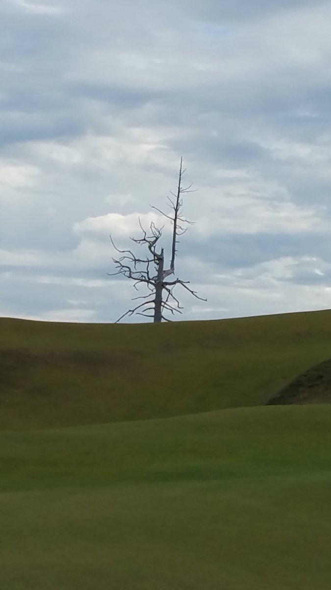 RyallStyle's tweet photo. @michaelpbreuer @BandonDunesGolf September 2015 @johnryall https://t.co/ud1mB5Ej1U