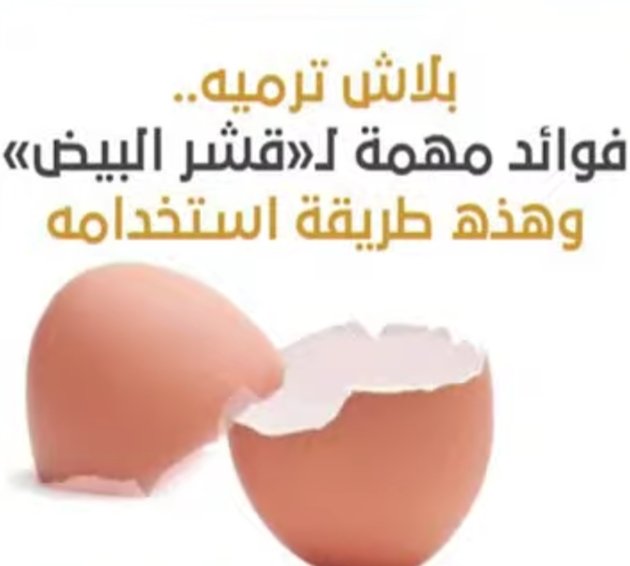 الطلعه الجايه حتبقي علي أحشاء 
الفراخ والريش وفوايدهم المتعدده
احنا بنعمل كوبي بست من الصين