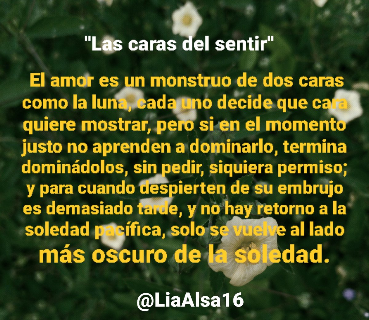 LiaAlsa16's tweet photo. 🌻 https://t.co/8nGrNxTpXq