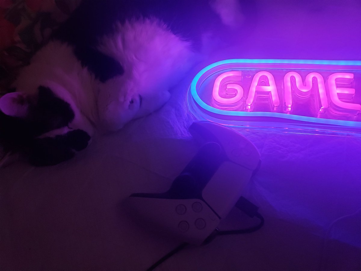 lhpraznik's tweet photo. Leaving for a new job soon. Work gave me a going away present. A neon blue and pink game on sign with snacks and a blanket 💜 https://t.co/59pRobJ8qm