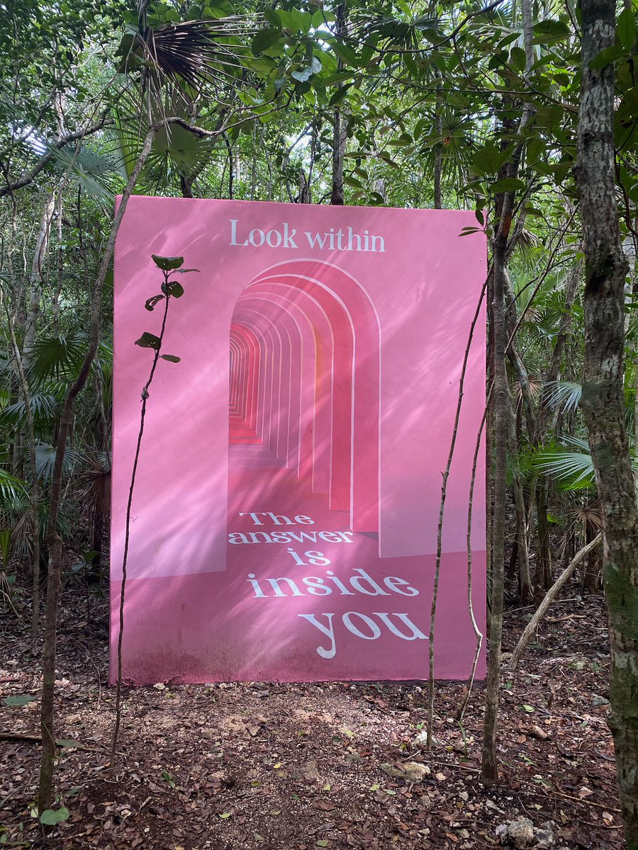 A message from the jungle.