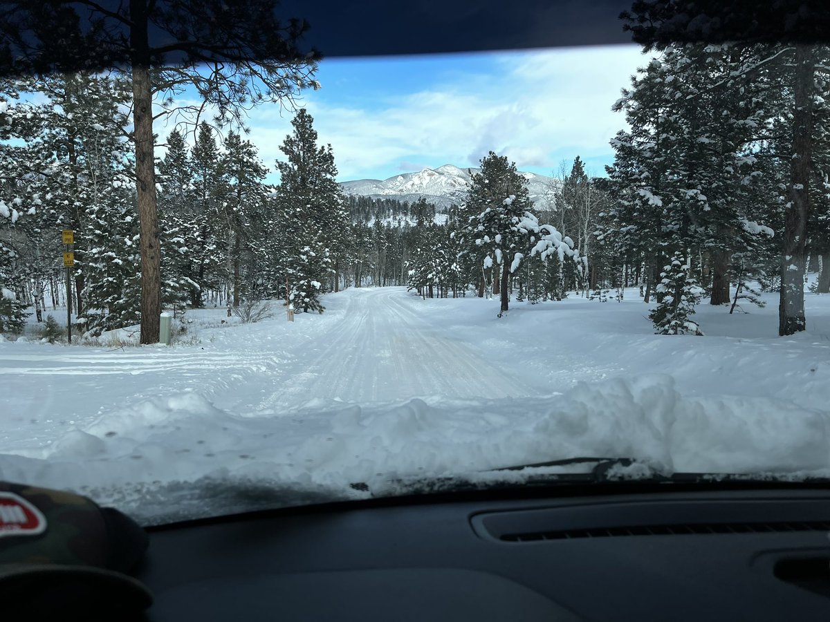 Derek Shane tweet media