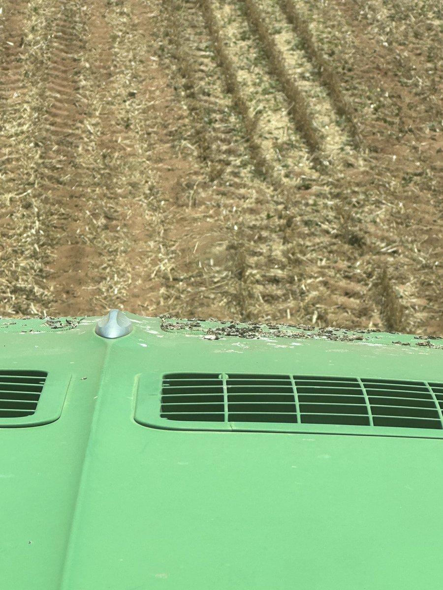 Sam Venning tweet media