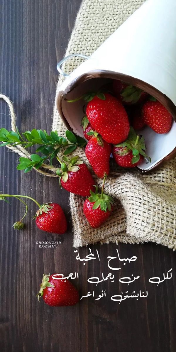 صباح الـ : 

الله خلق في وجهك المخملي صبح
غطى على كل الصُباحات بالنور