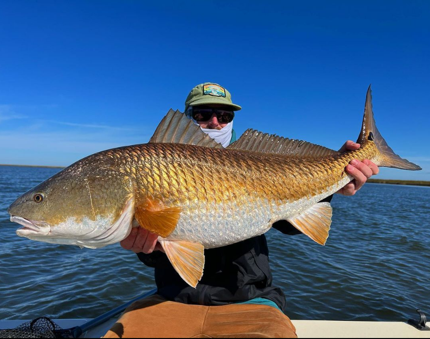 Saltwateronfly's tweet photo. Awesome Redfish
@tooturnttoskrrrt
Had to catch one to catch to match the carhartts #redfish #redfishonthefly #bullred #bullredfish #catchandrelease #flyfishing #winterfishing #marsh #inshorefishing #redfishonfly #sightfishing #saltwaterflyfishing #onlycountsonfly https://t.co/AqVDCuFJGp
