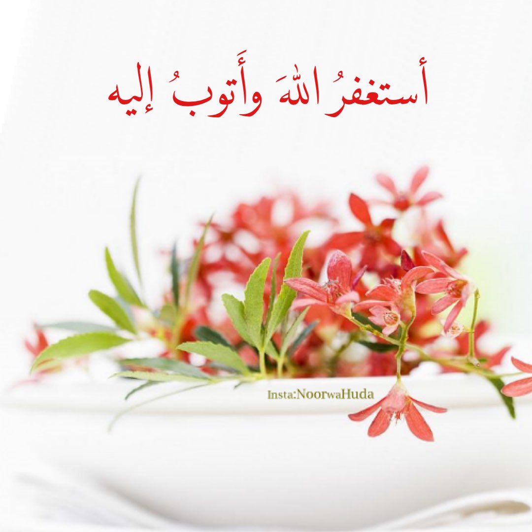 نورٌ وهدى tweet media