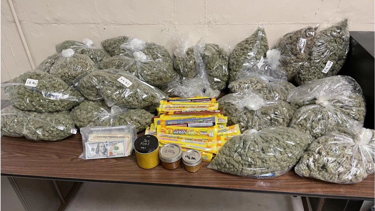 truucft's tweet photo. You have 24 Hours to Finish all this Weed for 1 million dollars. Who are you taggin?? https://t.co/qUkggMtgWt