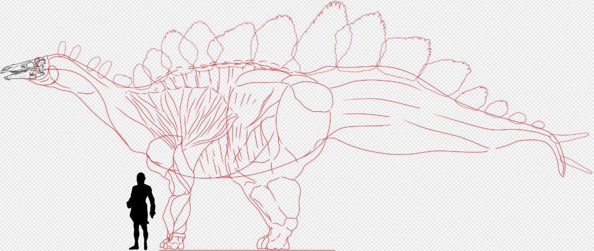 ZBoomer4's tweet photo. While i did post Wips of this in some Discord Servers, i did not post it here.

The Stegosaurus. https://t.co/kxWI7jDzmh