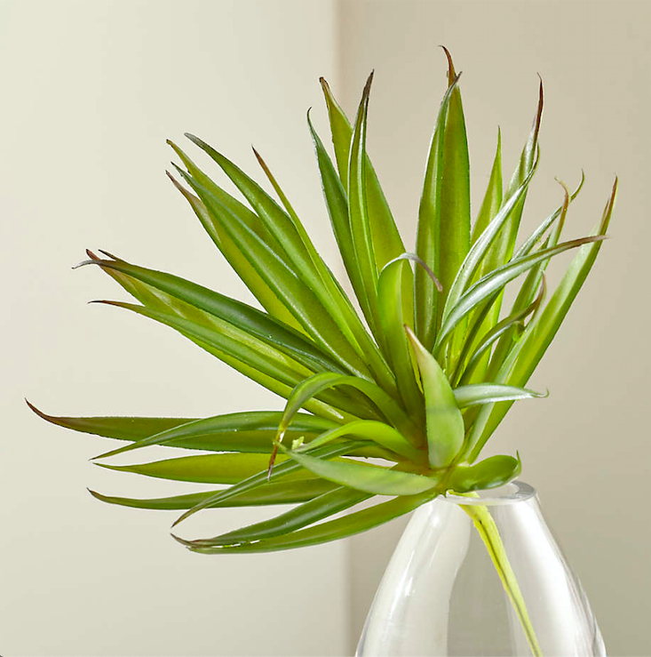 CrateBarrelMX's tweet photo. Nuestro tallo suculento de Yucca notablemente realista agrega vegetación a un terrario o arreglo botánico. Cada tallo está cuidadosamente hecho a mano para que parezca real. ¡Nos encanta para decorar centros de mesa o áreas con plantas artificiales en interior! https://t.co/IwIkTnXacs