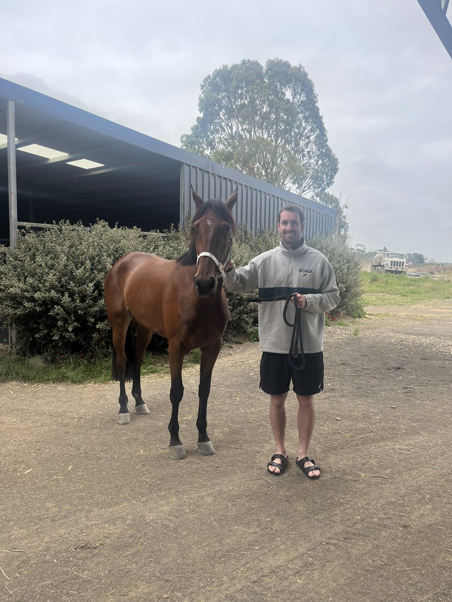Darcy Gardiner (@dizzgardiner7) on Twitter photo Good to see jilliby jetpack has pulled up a treat after claiming her first victory yesterday🥇. Full credit <a href="/paddylee10/">Paddy Lee</a> <a href="/JLee_8/">Jason Lee</a> . 🚀🚀🚀 <a href="/ghall27/">Gareth Hall</a> <a href="/AdamHSport/">Adam Hamilton</a> <a href="/TomPapley/">Tom Papley</a> <a href="/Quinny_1/">Nick Quinn</a> Good to see jilliby jetpack has pulled up a treat after claiming her first victory yesterday🥇. Full credit <a href="/paddylee10/">Paddy Lee</a> <a href="/JLee_8/">Jason Lee</a> . 🚀🚀🚀 <a href="/ghall27/">Gareth Hall</a> <a href="/AdamHSport/">Adam Hamilton</a> <a href="/TomPapley/">Tom Papley</a> <a href="/Quinny_1/">Nick Quinn</a>