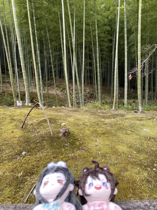のんびり観光〜 
