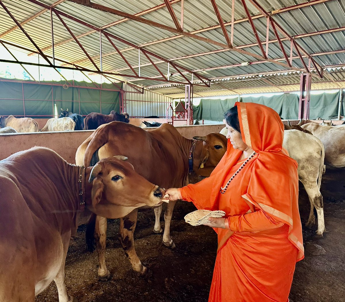 _RajatMishra's tweet photo. #गौअष्टमी के पावन दिन #त्रिशक्ति_गोशाला में परमपूज्य योगिराज श्री_शक्तिपु��्र_जी_महाराज के सानिध्य में गौसेवा और दर्शन का सौभाग्य प्राप्त हुआ।
#Shri_Shaktiputra_ji_maharaj
#bmks #SanatanaDharma https://t.co/nDA0EXLmrK