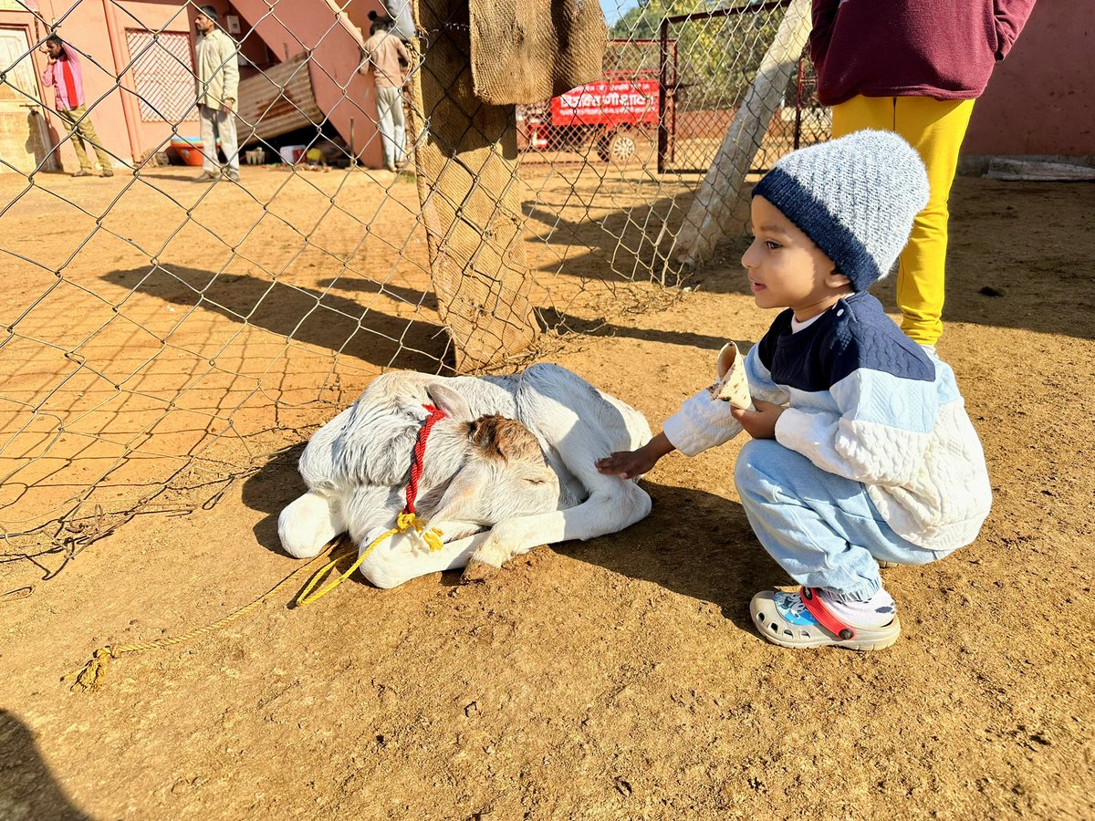 _RajatMishra's tweet photo. #गौअष्टमी के पावन दिन #त्रिशक्ति_गोशाला में परमपूज्य योगिराज श्री_शक्तिपु��्र_जी_महाराज के सानिध्य में गौसेवा और दर्शन का सौभाग्य प्राप्त हुआ।
#Shri_Shaktiputra_ji_maharaj
#bmks #SanatanaDharma https://t.co/nDA0EXLmrK