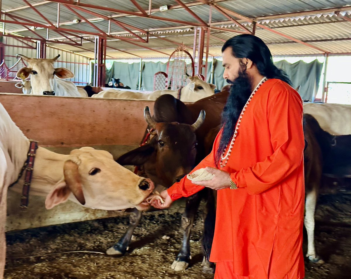 _RajatMishra's tweet photo. #गौअष्टमी के पावन दिन #त्रिशक्ति_गोशाला में परमपूज्य योगिराज श्री_शक्तिपु��्र_जी_महाराज के सानिध्य में गौसेवा और दर्शन का सौभाग्य प्राप्त हुआ।
#Shri_Shaktiputra_ji_maharaj
#bmks #SanatanaDharma https://t.co/nDA0EXLmrK