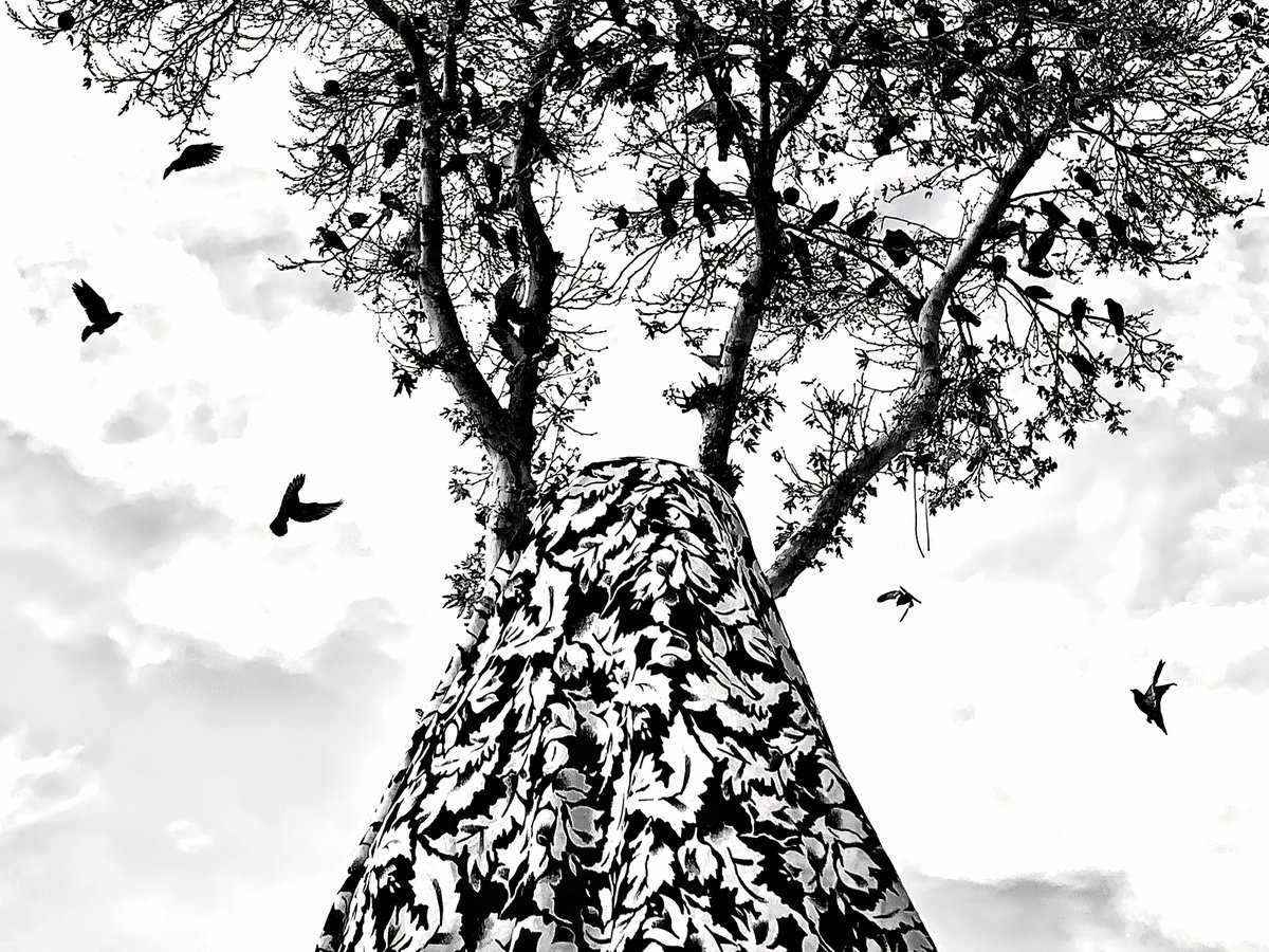 cameralab21's tweet photo. Jose-Luis Barcia Fernandez - Treehead https://t.co/SNjnuheNEk