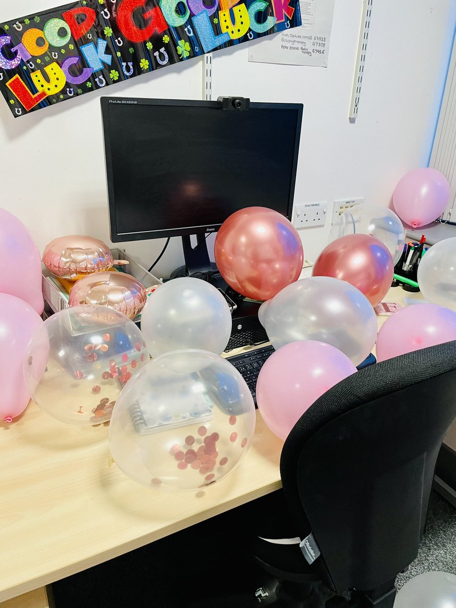 Ellie MacIver tweet media