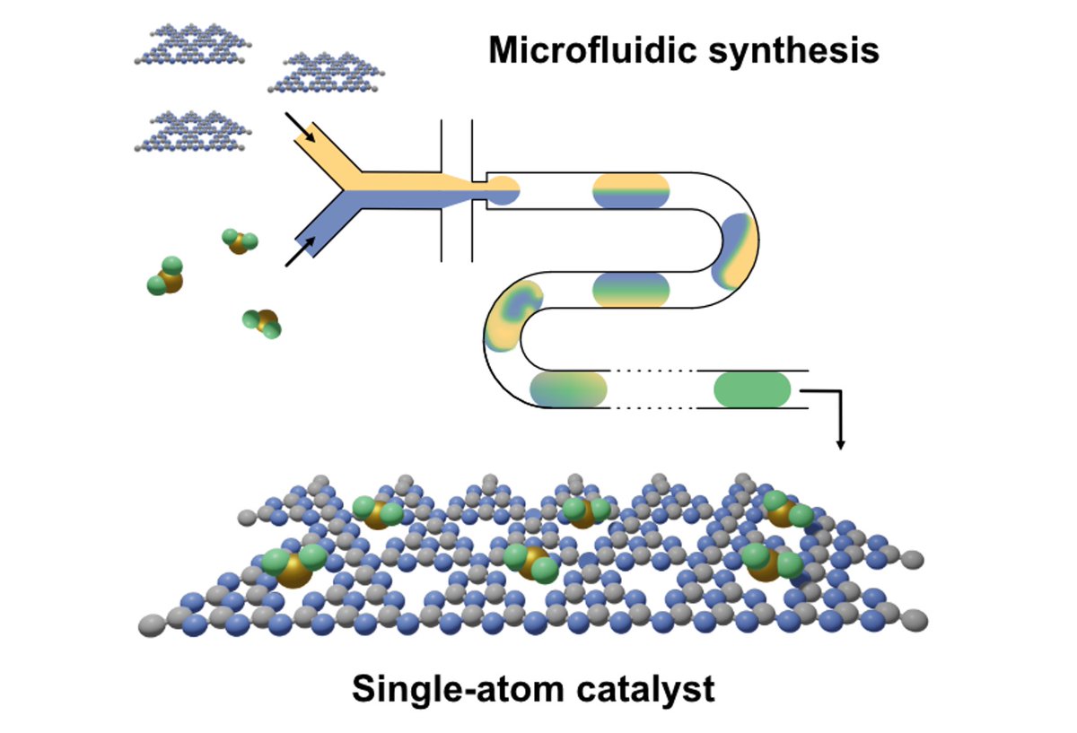 Javier Perez-Ramirez (@catalysis_eth) on Twitter photo Just published in Small Structures @AdvSciNews 'Droplet-based microfluidics platform for the synthesis of single-atom heterogeneous catalysts' <a href="/NCCR_Catalysis/">NCCR Catalysis</a> collaboration with <a href="/thommgs/">Thomas Moragues</a> <a href="/deMelloGroup/">deMello Group</a> <a href="/sharonjmitchell/">Sharon Mitchell (she/her)</a> 👇
onlinelibrary.wiley.com/doi/10.1002/ss… Just published in Small Structures @AdvSciNews 'Droplet-based microfluidics platform for the synthesis of single-atom heterogeneous catalysts' <a href="/NCCR_Catalysis/">NCCR Catalysis</a> collaboration with <a href="/thommgs/">Thomas Moragues</a> <a href="/deMelloGroup/">deMello Group</a> <a href="/sharonjmitchell/">Sharon Mitchell (she/her)</a> 👇
onlinelibrary.wiley.com/doi/10.1002/ss…