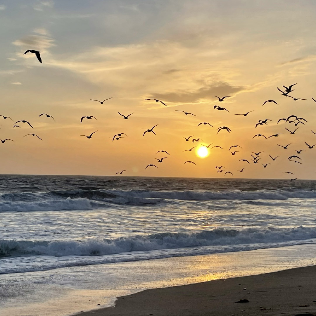 TheGreenForest_'s tweet photo. Sunsets are one of the most magical parts of the day.💛🌅

I took this picture on my travels recently, and I am in awe of Mother Nature every time I look at it. Sunsets truly are spectacular.🧡🌇 https://t.co/NgLeT3qf7E