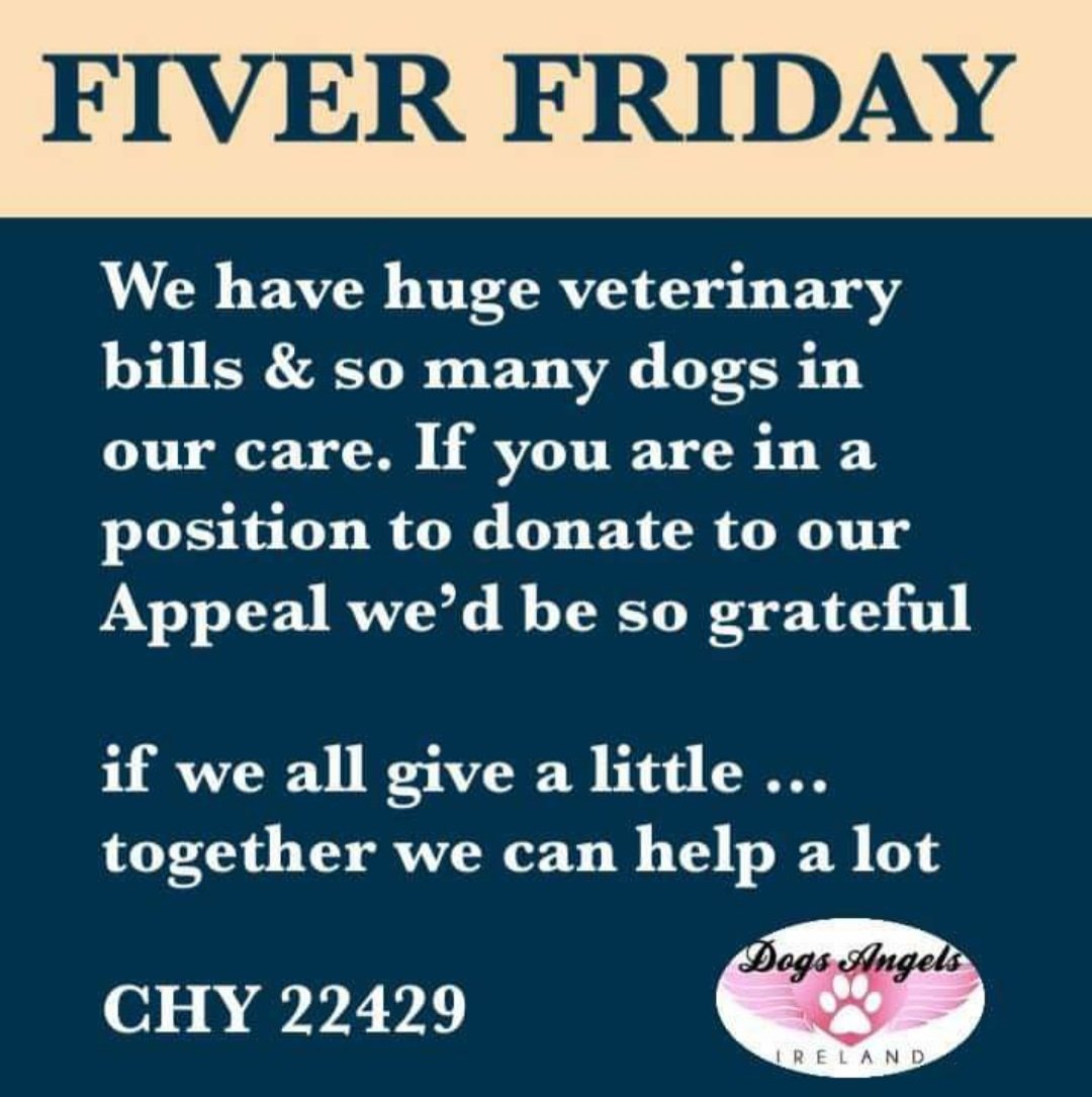 The last day of such a tough year. Dog crisis in Ireland. If anyone can help it would be amazing xx
paypal.com/donate/?cmd=_s…