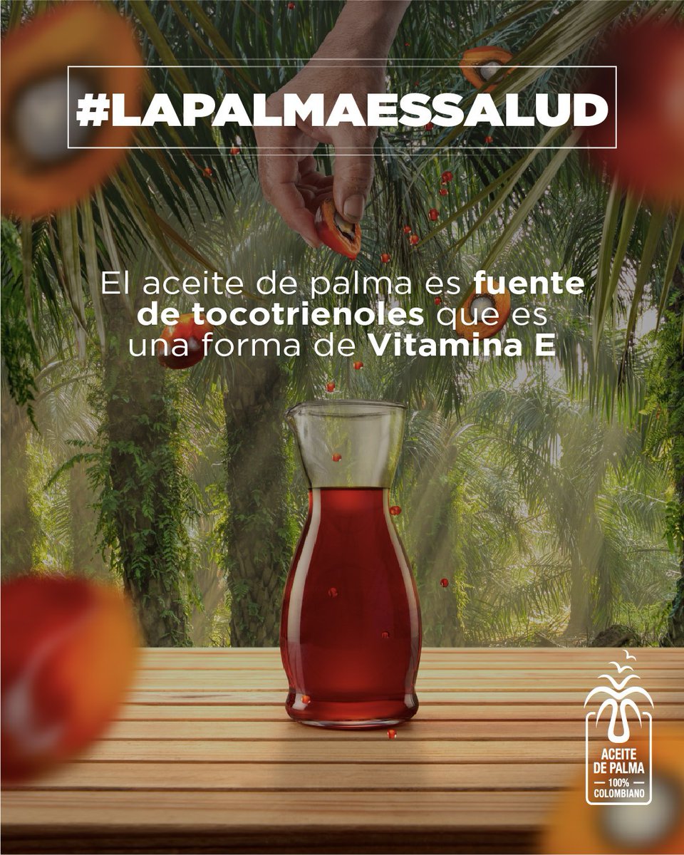 European Palm Oil Alliance ES tweet media