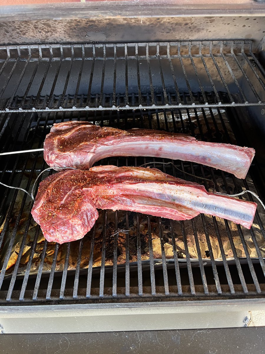 Brad Forrester tweet media