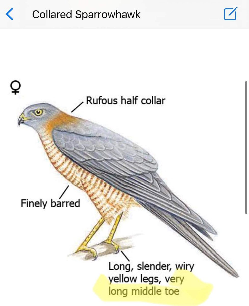 Chris Lassig tweet media