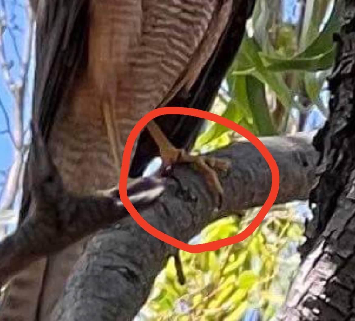 Chris Lassig tweet media