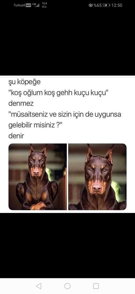 ATAY (@yorgun_5960) on Twitter photo 