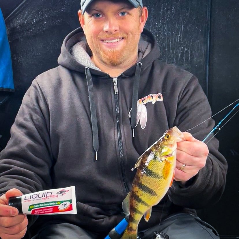 LiquidMayhem_'s tweet photo. Just a dab will do....🔥 #nofishcanresist #liquidmayhem
#NoFishCanResist #LiquidMayhem
#MayhemBaitCo #OutFishEveryone #fishing #angler #icefishing #hardwaterfishing #icefishinglife #icefish https://t.co/7HsDfBHa61