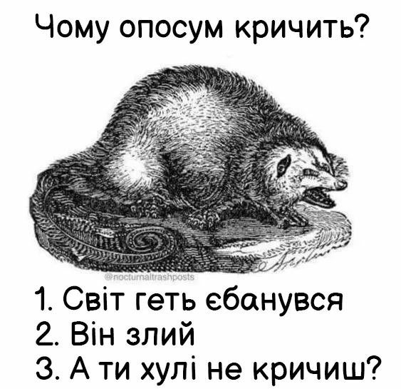 <a href="/sea_inside3/">Mary Kravchenko 🇺🇦</a>