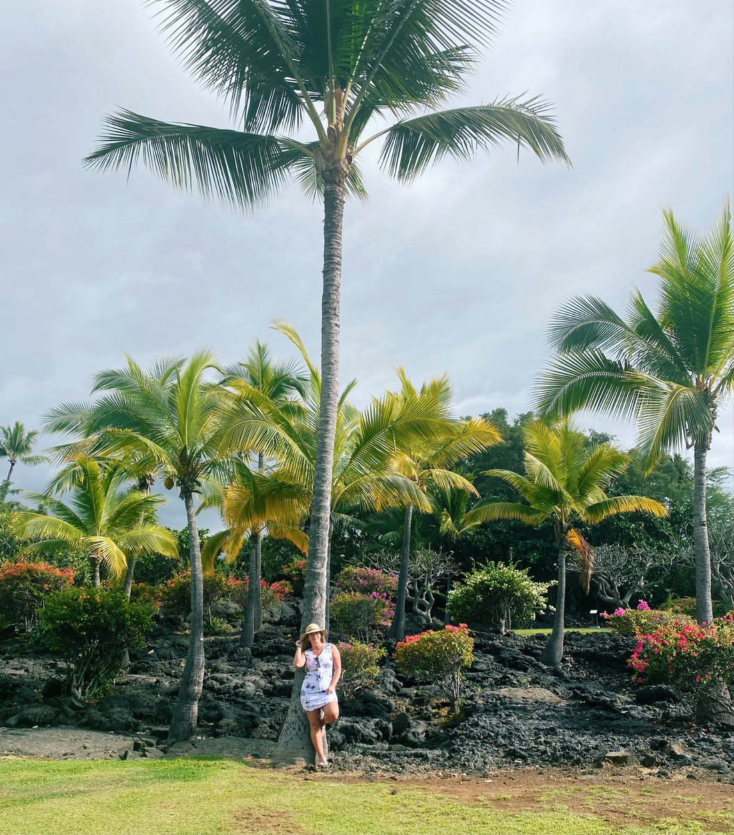 sydneyrozin's tweet photo. island girl 🌴🌴🌴 https://t.co/94E4HxymQr