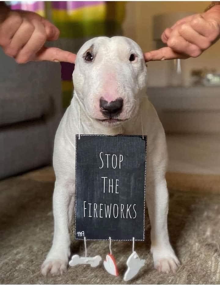 Roger dorp (@roger758) on Twitter photo 