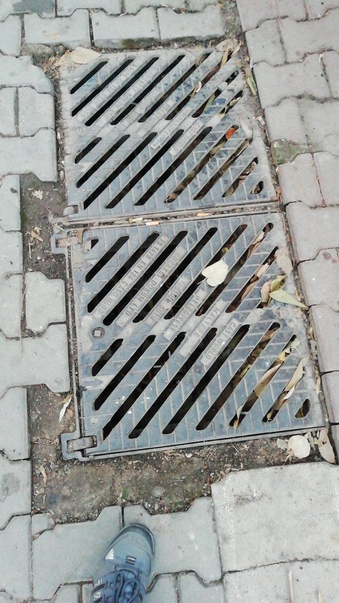 Altıntepe istasyon yolu sokak. Maltepe ızgaraların temizlenmesi gerekiyor. Yapraklar dolmuş içine. <a href="/iskignmudurlugu/">İSKİ Genel Müdürlüğü</a> <a href="/IBBcozummerkezi/">İBB Çözüm Merkezi</a>