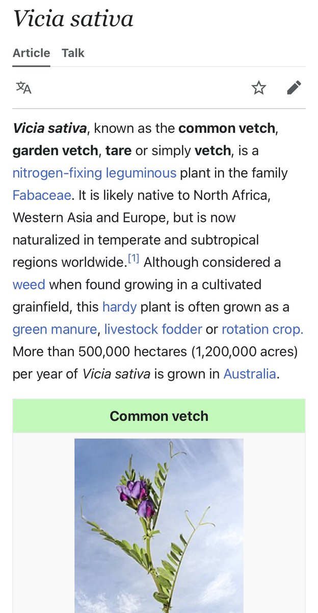 SixandLaura's tweet photo. #vicia #sativa “common #vetch”
“#nitrogen-fixing #leguminous plant in the family #Fabaceae”
#tare
#soil #biodiversity #flora https://t.co/jpaLlskn2g